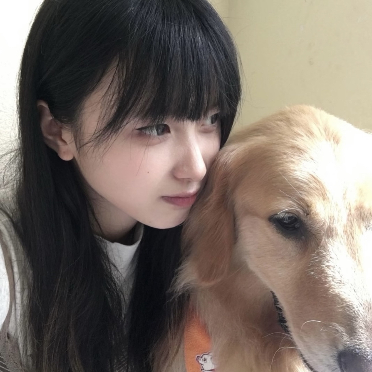 Muzze || Art & History Museum